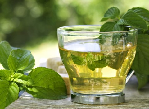 تصویر 1 از قیمت خرید عرق نعناع کاشان + فروش ویژه